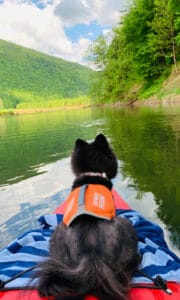 Floating Down the Susquehanna in Renovo, PA